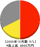 桜ペイント 損益計算書 2008年10月期