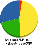 目川工業 貸借対照表 2011年3月期