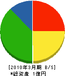 石川電機商会 貸借対照表 2010年3月期