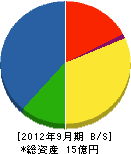 水戸グリーンサービス 貸借対照表 2012年9月期