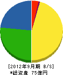 塚田陶管 貸借対照表 2012年9月期