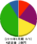 松宮電気工業 貸借対照表 2010年6月期