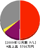 野田建設 損益計算書 2009年12月期