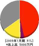 大誠電機 損益計算書 2009年1月期