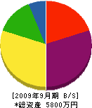平田水道工事店 貸借対照表 2009年9月期