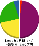 琉電工業社 貸借対照表 2009年6月期