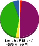 ヒダカ 貸借対照表 2012年6月期