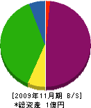 アドアートイシカワ 貸借対照表 2009年11月期