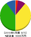 杉村建設 貸借対照表 2010年6月期