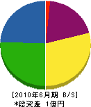 稲継建設 貸借対照表 2010年6月期