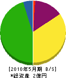 東埼 貸借対照表 2010年5月期