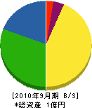 中野組 貸借対照表 2010年9月期
