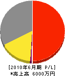 鈴木工業 損益計算書 2010年6月期