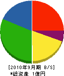 松誠園緑地建設 貸借対照表 2010年9月期