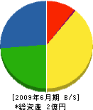 松下工業 貸借対照表 2009年6月期