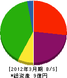 琉球造船鉄工 貸借対照表 2012年3月期