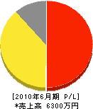 にんじんネット 損益計算書 2010年6月期