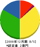 大栄工務店 貸借対照表 2008年12月期