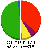山栄総合開発 貸借対照表 2011年6月期
