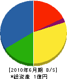 横川工業 貸借対照表 2010年6月期