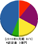 田野井造園 貸借対照表 2010年6月期 田野井造園 貸借対照表 2010年6月期