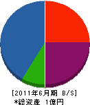 福井窯業 貸借対照表 2011年6月期