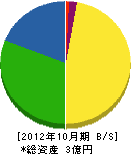 桐山工務店 貸借対照表 2012年10月期