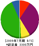 鎌田設備 貸借対照表 2009年7月期