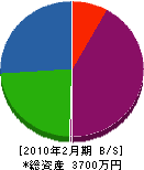 石川商店 貸借対照表 2010年2月期