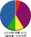 田中緑地 貸借対照表 2010年5月期