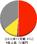 川崎地質 損益計算書 2012年11月期