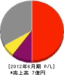 川田電機工務店 損益計算書 2012年6月期