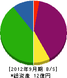 飯田建設工業 貸借対照表 2012年9月期