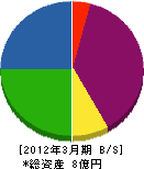 タイセイ電機 貸借対照表 2012年3月期