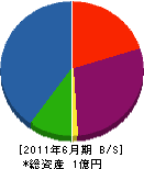 友井社寺 貸借対照表 2011年6月期