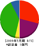 石井工業所 貸借対照表 2009年5月期