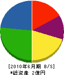 森脇組 貸借対照表 2010年6月期