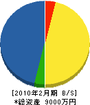 丸八松寿建設 貸借対照表 2010年2月期 丸八松寿建設 貸借対照表 2010年2月期
