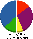 南﨑建設 貸借対照表 2009年11月期