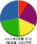 瀬田塗装工業 貸借対照表 2012年9月期