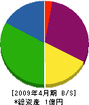 彩電 貸借対照表 2009年4月期