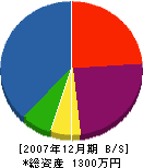辻裏建設 貸借対照表 2007年12月期