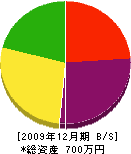 近藤電気商会 貸借対照表 2009年12月期