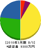 豊進建設 貸借対照表 2010年3月期