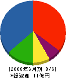 辻産業 貸借対照表 2008年6月期