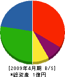 ピー・アール・九州 貸借対照表 2009年4月期