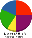 川本産業 貸借対照表 2009年5月期