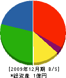 内藤電気商店 貸借対照表 2009年12月期