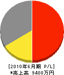 昭成工業 損益計算書 2010年6月期 昭成工業 損益計算書 2010年6月期