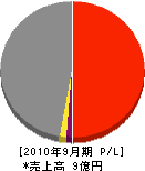 大＊建設 損益計算書 2010年9月期